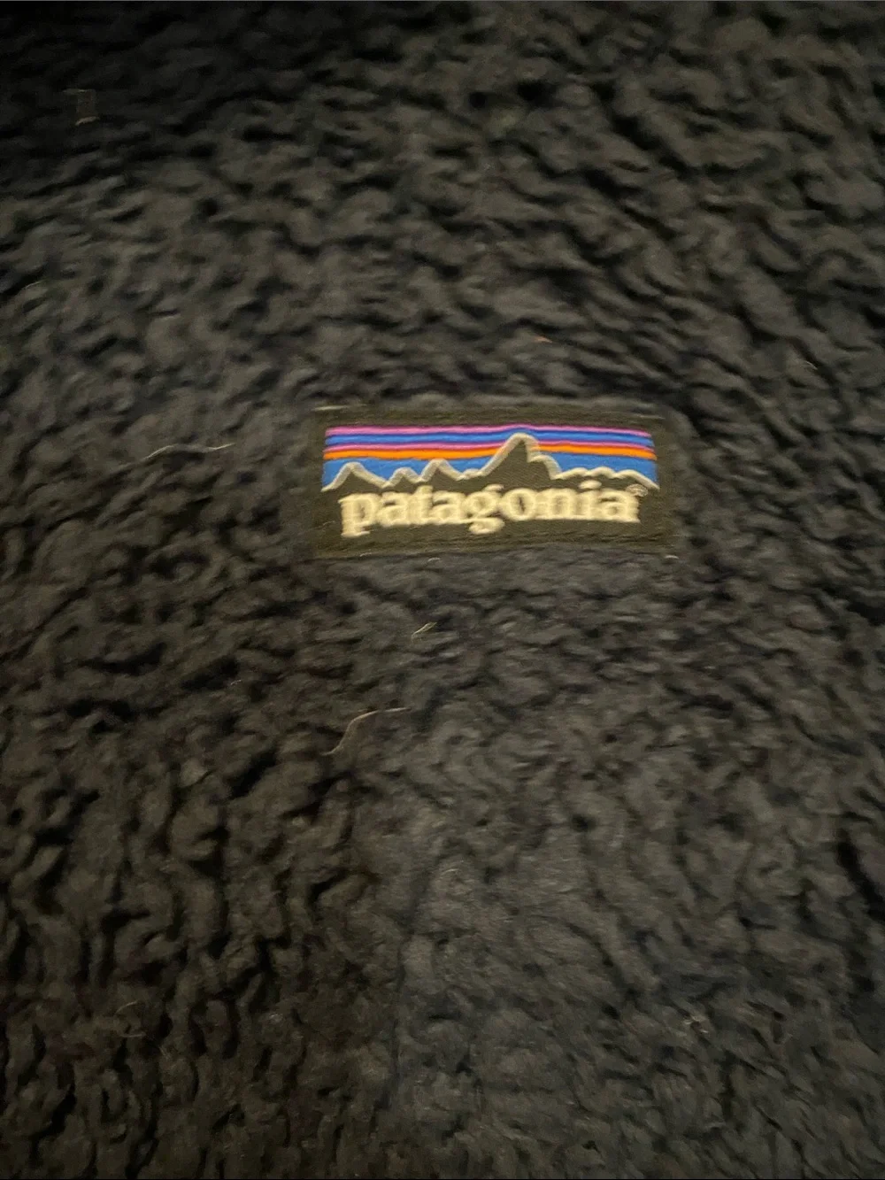 Kids Patagonia Zip Up Hoodie